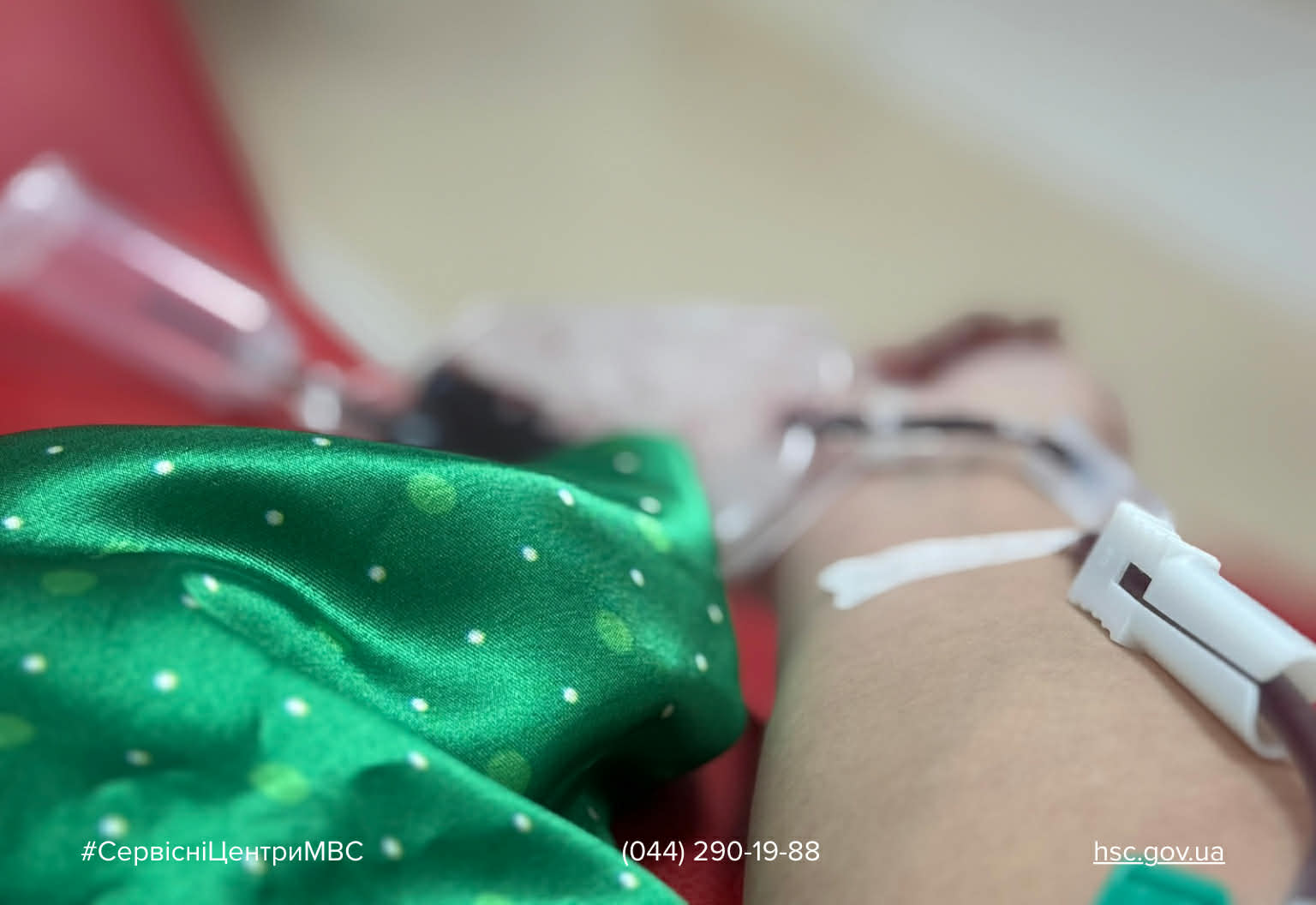 50ac81ef-fee1-4fb3-83f1-179dbb1c2064