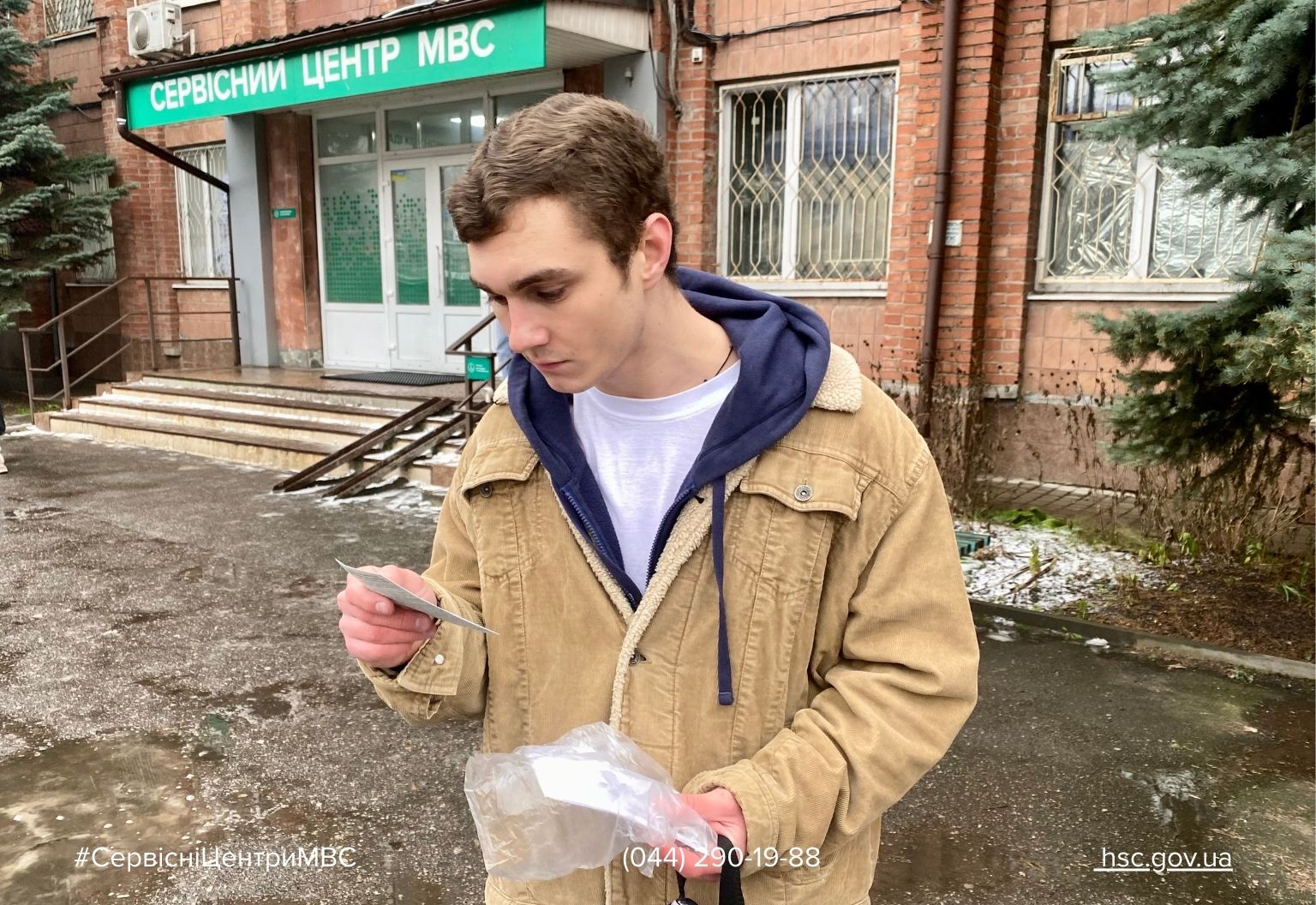 прямокуні (17)