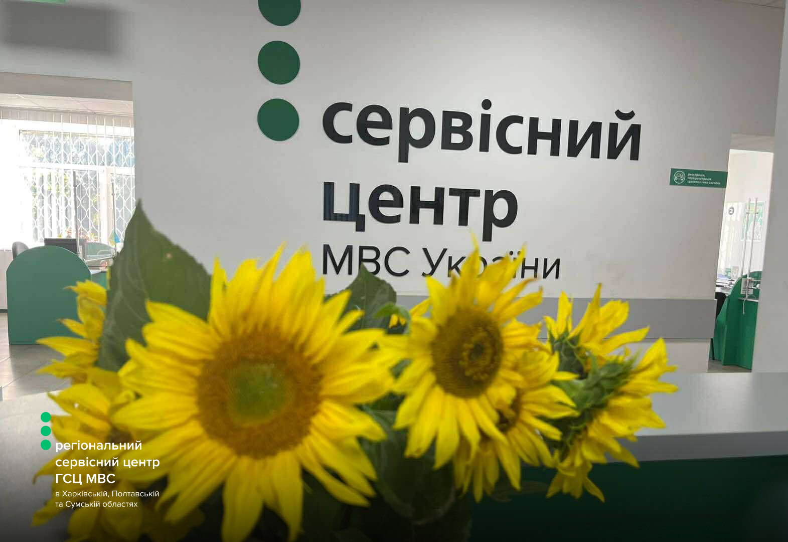 Сайт білий (3)